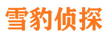 静安市侦探调查公司